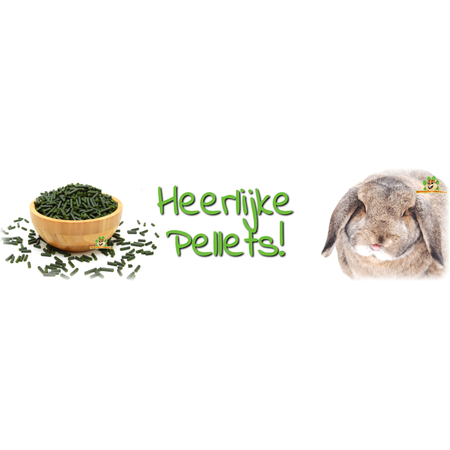 Knaagdier Kruidenier Mieszanka granulowana na święta Bożego Narodzenia Burak i pietruszka 185 gramów