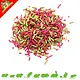 Knaagdier Kruidenier Christmas Mix Pellets Beetroot & Parsley