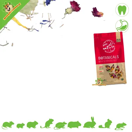 Bunny Nature BOTANICALS Mid Mix – Naturel, idéal comme collation ou complément nutritionnel