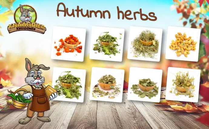 Herfst Kruiden