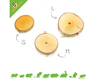 Disques de bouleau pour le bricolage