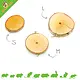 Birch slices for DIY