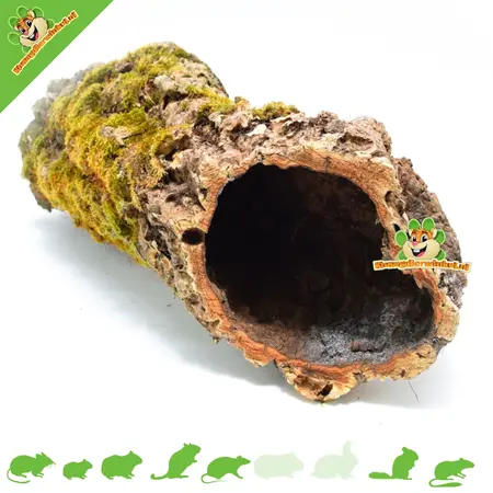 Trixie Tunnel de Cork