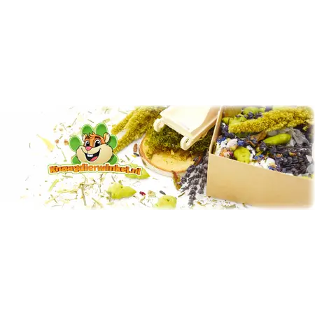 Knaagdier Kruidenier Kit d'herbes d'hiver – Enrichissement naturel hivernal pour les rongeurs