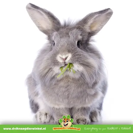 JR Farm Dille Oogst Graanvrij voor Knaagdieren en Konijnen