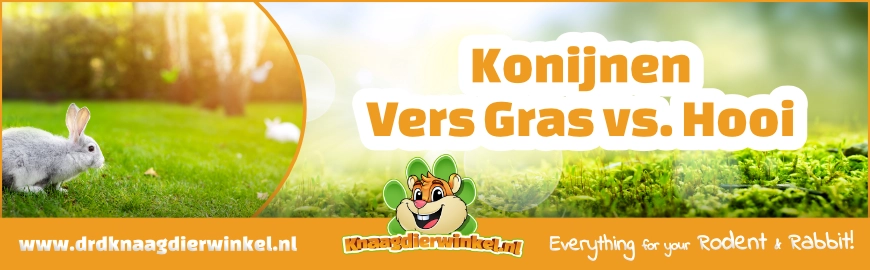Hooi vs. Gras – Wat is nu eigenlijk het beste voor jouw konijn?
