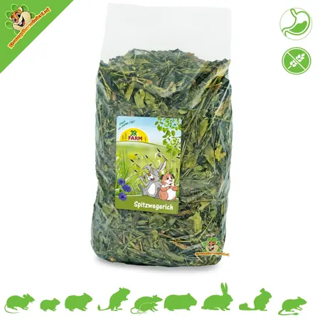 JR Farm Kochbanane & Kornblume Blau ohne Getreide