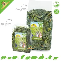 Plantain à feuilles étroites