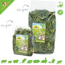 Llantén de hoja estrecha