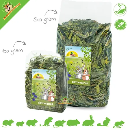 JR Farm Kochbanane & Kornblume Blau ohne Getreide