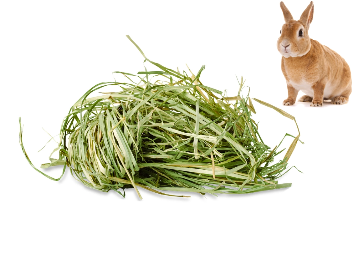 Świeże siano trawiaste jako orzeźwiająca odmiana w kępie siana