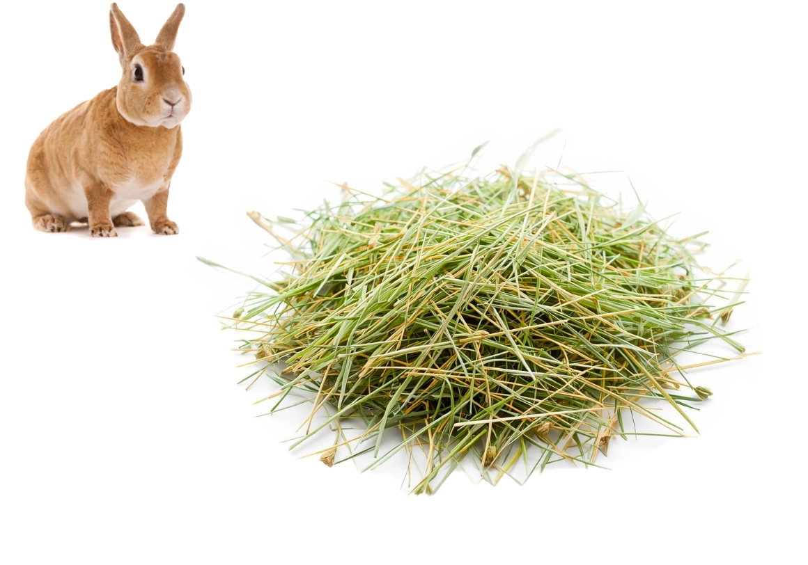 Siano pastwiskowe podawaj w czystym miejscu, w żłobie lub worku na siano.