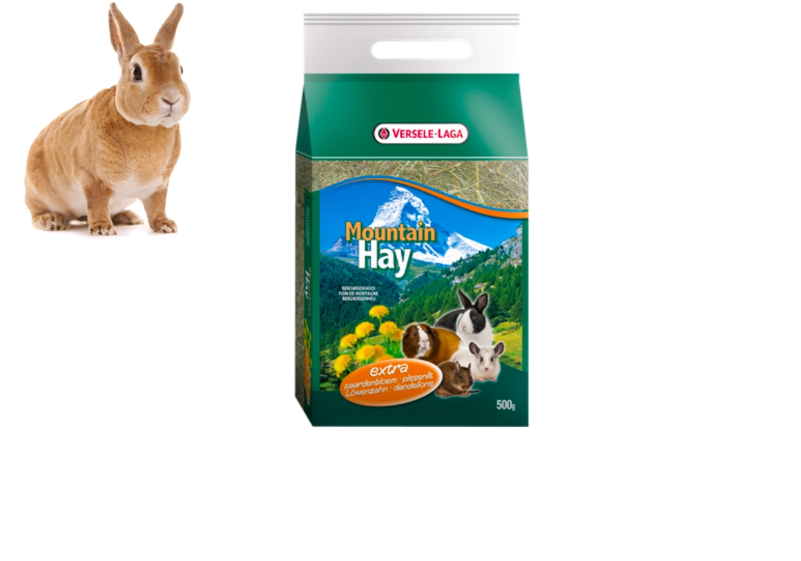 Ofrecer heno de pradera de montaña en un lugar de heno permanente