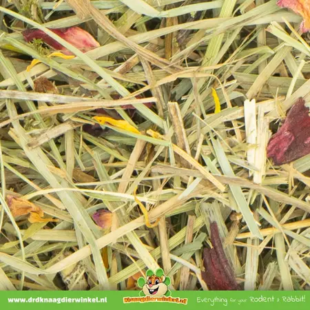 JR Farm Heno de pradera de verano 500 gramos