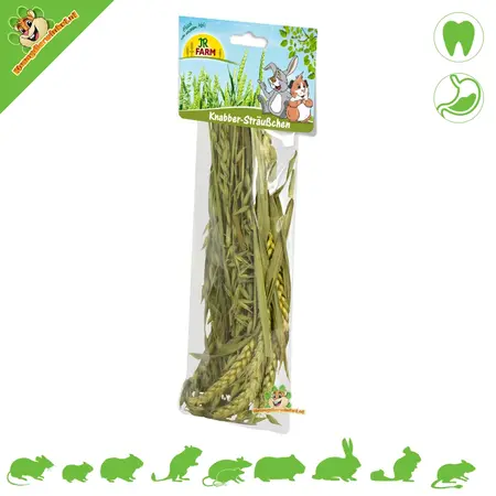JR Farm Knabbel Oogst Groene Tarwe Aren Mix 25 gram