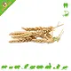 JR Farm Knabbel Aren Mix Tarwearen 30 gram
