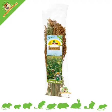 JR Farm Récolte des graines d'été