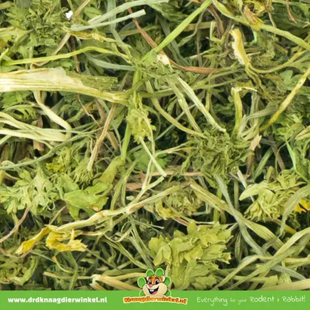 JR Farm Parsley Salad