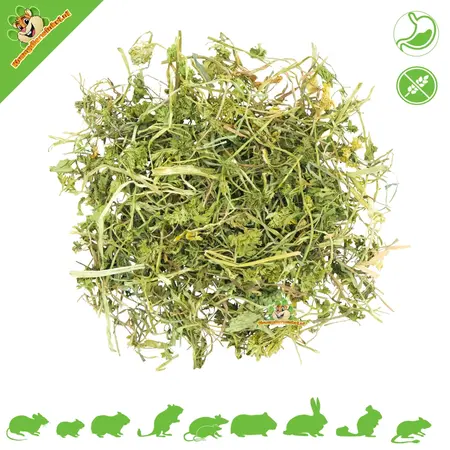 JR Farm Salade de persil 50 grammes pour rongeurs et lapins