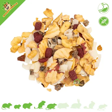 JR Farm Tropica Snack 200 Gramm