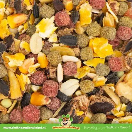 JR Farm Mélange de friandises fruitées Fruit Dream pour rongeurs et lapins