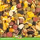 JR Farm Mélange de friandises fruitées Fruit Dream pour rongeurs et lapins