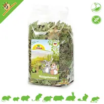 Herbes secrètes de la forêt
