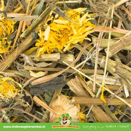 JR Farm Topinamboer Kruiden 150 gram