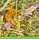 JR Farm Echinacea & Lucerne-Clover for Rodents & Rabbits