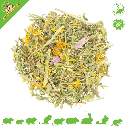 JR Farm Equinácea y Alfalfa 100 gramos Sin cereales para roedores y conejos