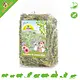 JR Farm Echinacea & Luzerne (Alfalfa) 100 gram Graanvrij voor Knaagdieren en Konijnen