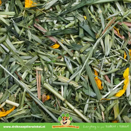 JR Farm Campo de maíz para roedores y conejos