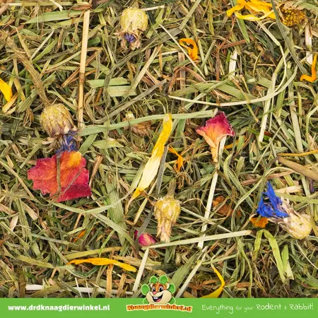 JR Farm Blumenwiese getreidefrei für Nagetiere und Kaninchen!