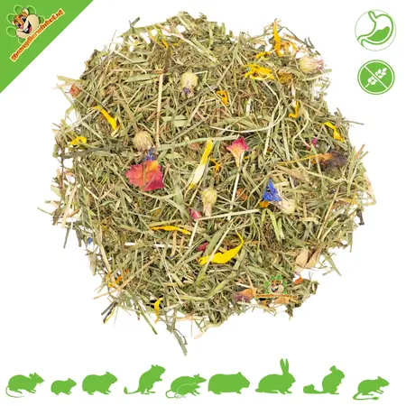 JR Farm Flower Meadow ¡Sin cereales para roedores y conejos!