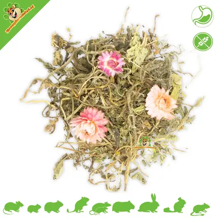 JR Farm Grainless Plus Salvia y Diente de León