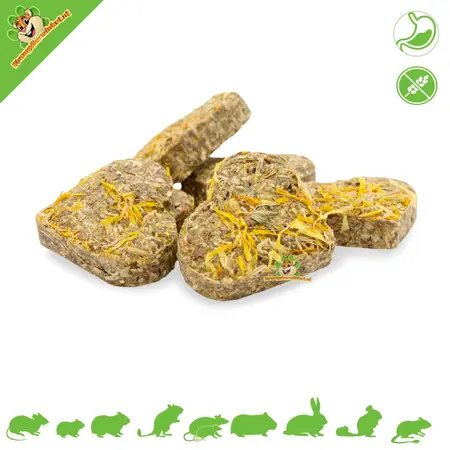 JR Farm Grainless Harten Goudsbloem 105 gram