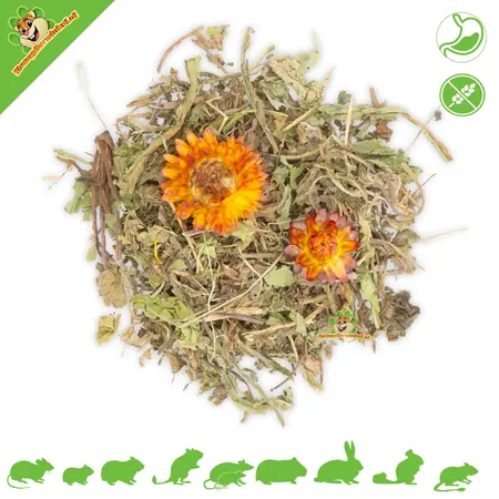 JR Farm Grainless Plus Caraway & Dandelion Digestion