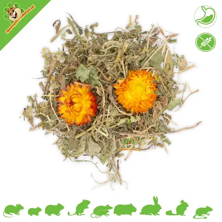 JR Farm Grainless Plus Chamomile & Dandelion Relax