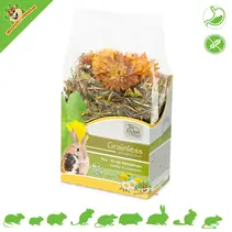 Grainless Plus Chamomile & Dandelion Relax 100 grams