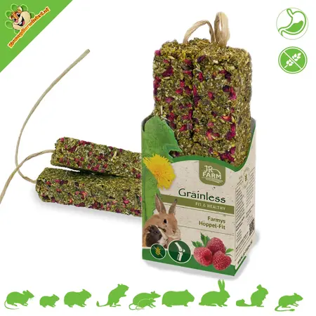 JR Farm Grainless Health Farmys Hopping Fit Frambuesa