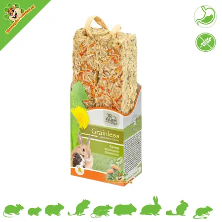 JR Farm Palitos de flor de cardo silvestre Farmys sin grano