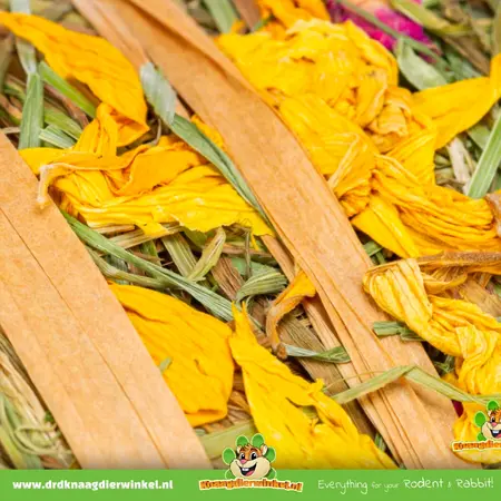 Trixie Hooibaal met Bloemen 500 gram