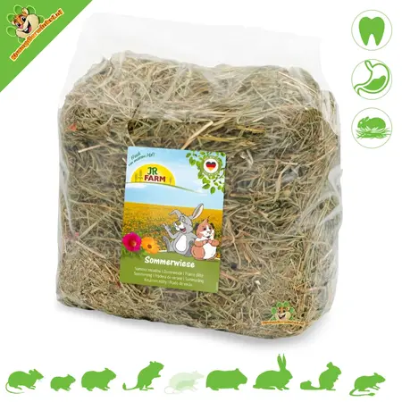 JR Farm Zomer Weidehooi 500 gram