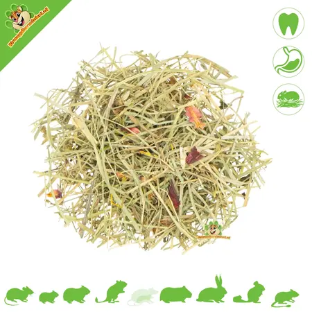 JR Farm Sommerwiesenheu 500 Gramm