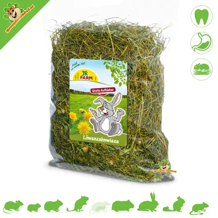 JR Farm Dandelion Meadow Hay 500 grams for Rodents & Rabbits!