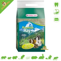 Menthe Mountain Meadow Hay 500 grammes