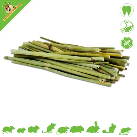 JR Farm Fennel Sticks