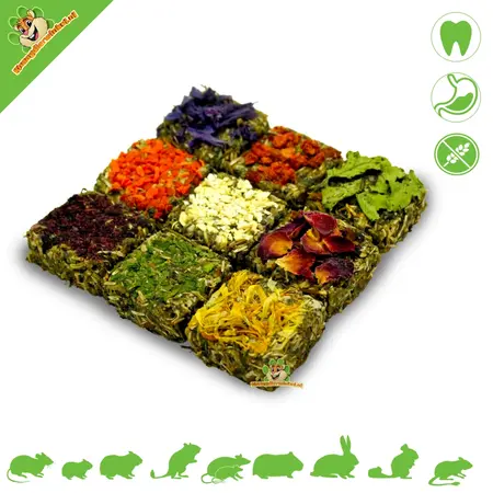 JR Farm Grainless Knaagdier Pralines