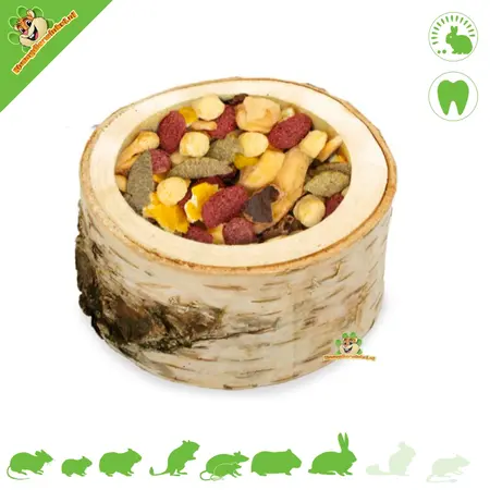 JR Farm Obsttopf aus Holz 9 cm