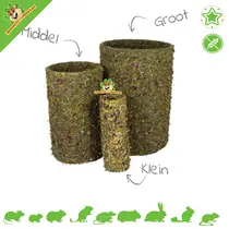 Frühlingsrollentunnel